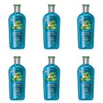 Phytoervas Anticaspa Shampoo 250ml (kit C/06)