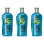Phytoervas Anticaspa Shampoo 250ml (kit C/03)