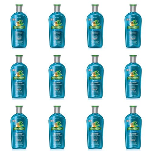 Phytoervas Anticaspa Shampoo 250ml (kit C/12)