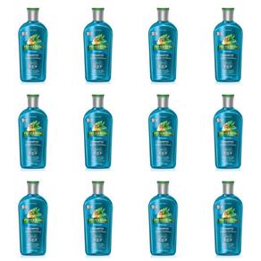 Phytoervas Anticaspa Shampoo 250ml - Kit com 12