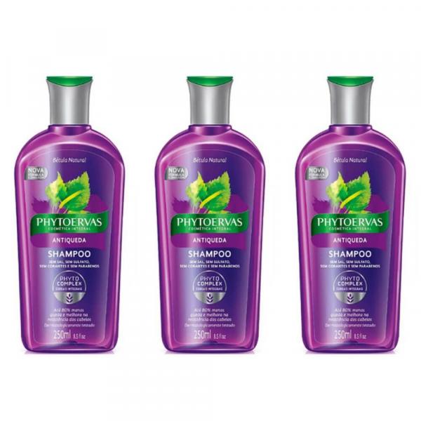Phytoervas Antiqueda Shampoo 250ml (Kit C/03)