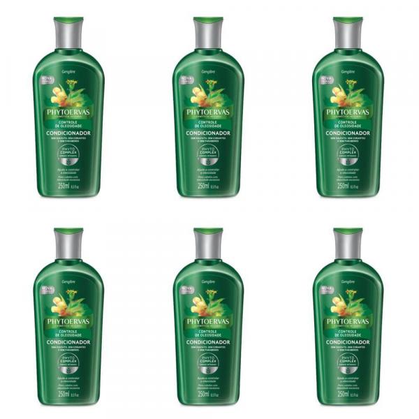 Phytoervas Controle de Oleosidade Shampoo 250ml (Kit C/06)