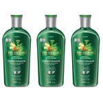 Phytoervas Controle de Oleosidade Shampoo 250ml (kit C/03)