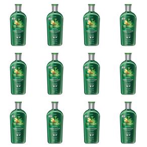 Phytoervas Controle de Oleosidade Shampoo 250ml - Kit com 12