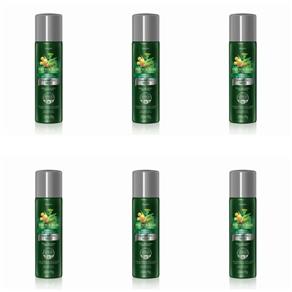 Phytoervas Controle Oleosidade Shampoo a Seco 150ml - Kit com 06