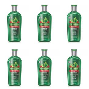 Phytoervas Fortalecimento Total Shampoo 250ml - Kit com 06