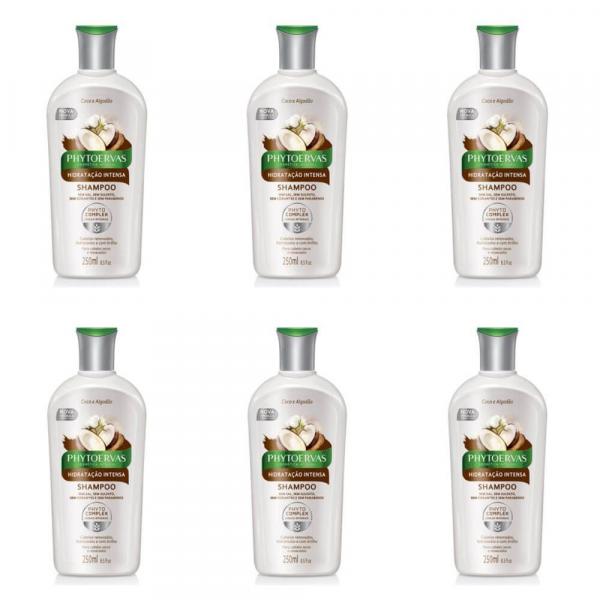 Phytoervas Hidratação Intensa Shampoo 250ml (Kit C/06)