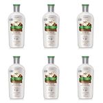 Phytoervas Hidratação Intensa Shampoo 250ml (kit C/06)