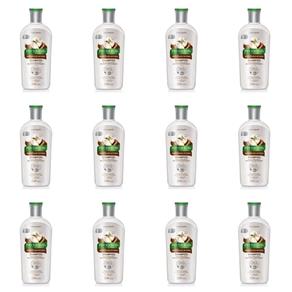 Phytoervas Hidratação Intensa Shampoo 250ml - Kit com 12