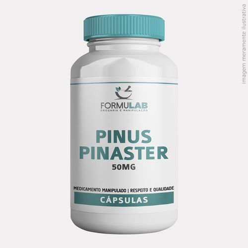 Pinus Pinaster 50mg - Picnogenol - 240 Cápsulas