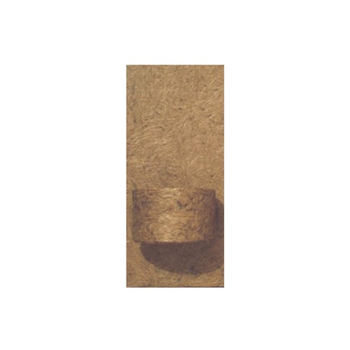 Placa em Fibra de Côco 15X32cm Natural com 1 Vaso