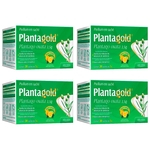 Planta Gold Plantago Ovata Psyllium em 30 Sachês Arte Nativa - kit 4 Caixas