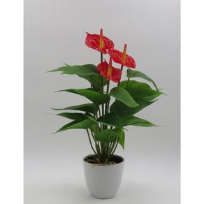 🏷️【Tudo Sobre】→ Planta Mini Anturio 39cm Vermelho C/pote St38888 Ndi