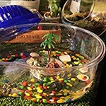 Portátil Reptile House com Terraço clara e respirável Habitat tanque do aquário para Pet Shop