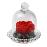 Presente romantico intermin¨¢vel preservada Flower Rosas In Glass