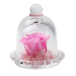 Presente romantico intermin¨¢vel preservada Flower Rosas In Glass