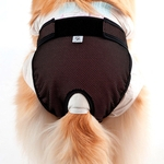 Protetor de fralda e cio para cães fêmea cintura 40 a 48cm - Pet Med