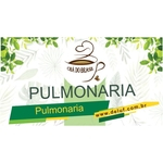 PULMONARIA - 500g - CHA DO BRASIL