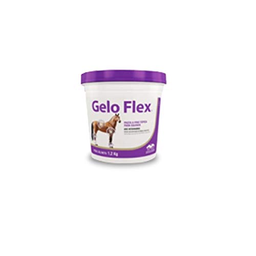 Relaxante Muscular Vetnil Gelo Flex em Pasta para Equinos - 1,2kg