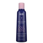 Kit Richée Soul Blond Shampoo + Condicionador Desamarelador
