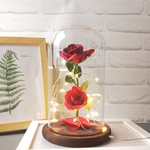Romantico Sombra Immortal Flor Micro Paisagem Rose Simula??o de vidro Led Llight