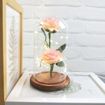 Romantico Sombra Immortal Flor Micro Paisagem Rose Simula??o de vidro Led Llight