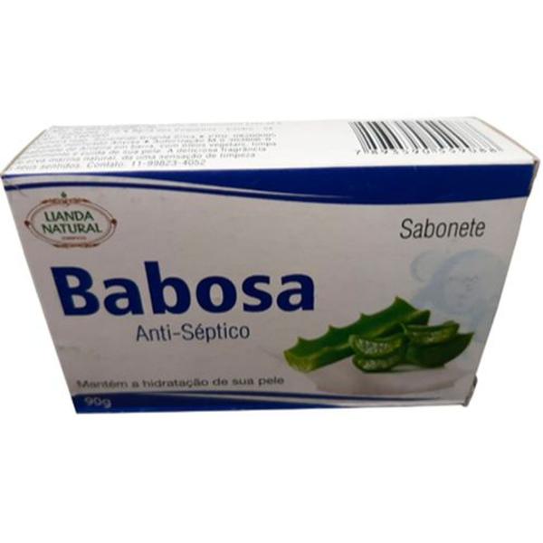 Sabonete Anti-séptico Babosa 90 G Lianda Natural