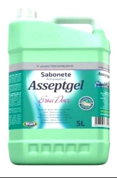 Sabonete Antisséptico Asseptgel 5 Litros Erva Doce - Start/ Asseptgel
