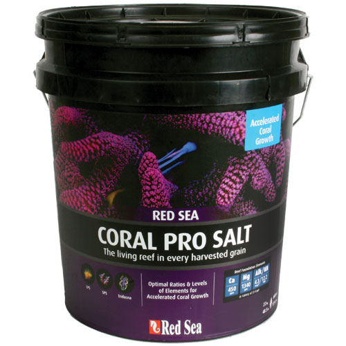 Sal Red Sea Coral Pro Balde 7kg
