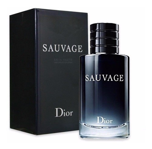Sauvage Dior Eau de Toilette Masculino - 100 Ml