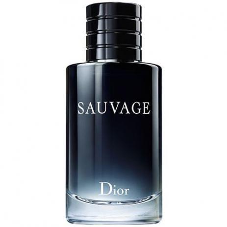 Saùvage Dìor Edt 100ml Eau de Toilette Perfume Masculino Importado - Christian Dior