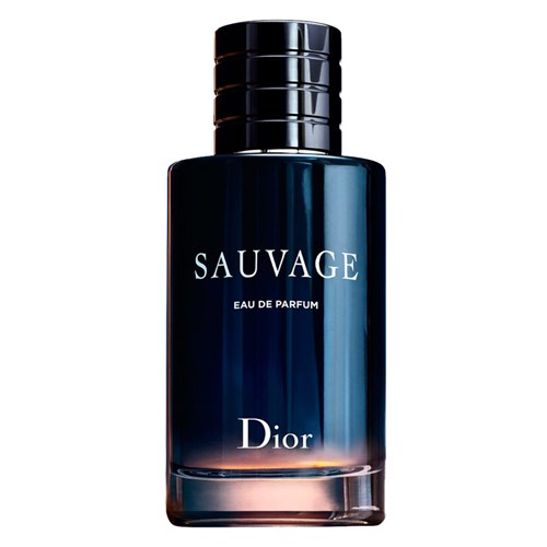 Sauvage Dior - Perfume Masculino - Eau de Parfum 100Ml