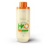 Selagem H2O Citric Forever Liss 1 Litro (Escova Progressiva)