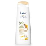 Shampoo Dove Ritual De Reparação 200ml