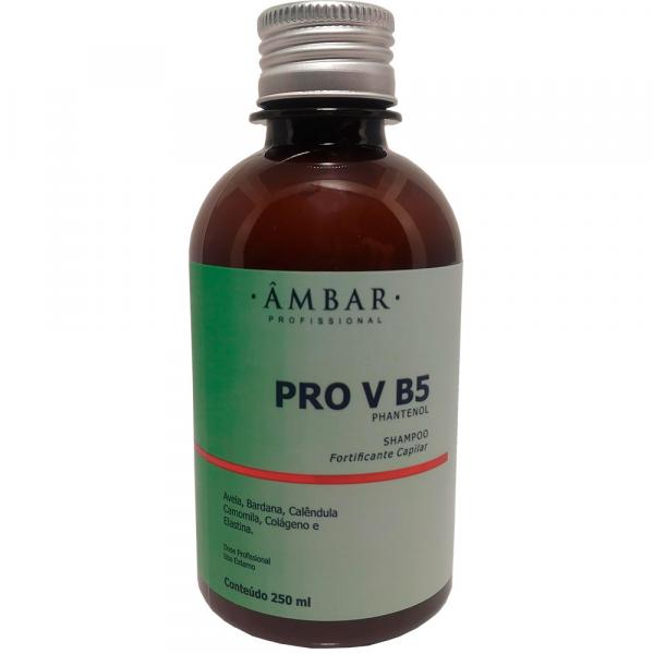 Shampoo Fortificante Âmbar PRO V B5 - 250ml - Âmbar Profissional