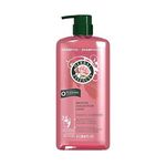 Shampoo Herbal Essences Smooth Collection Lisse 1 L