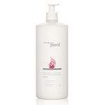 Shampoo Hidratação Reparadora Plant - 1 litro