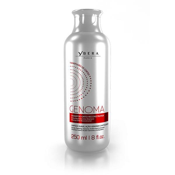 Shampoo Hidratante Manutenção Genoma Ybera Paris 250Ml