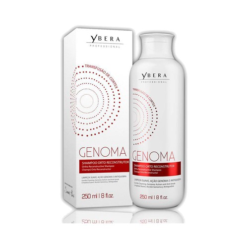 Shampoo Hidratante Manutenção Ybera Genoma 250ml