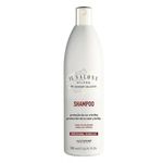 Shampoo Il Salone Proteção da Cor Alfaparf 500ml