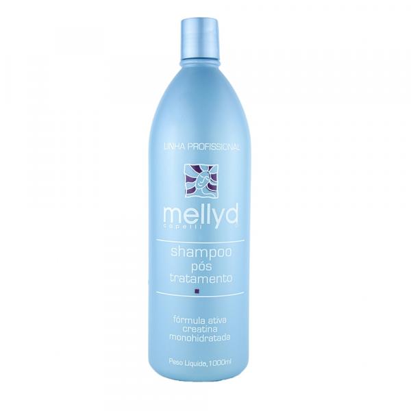Shampoo Limpeza Profunda Mellyd 1L
