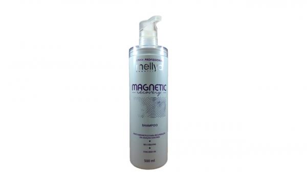 Shampoo Magnetic Recovery Mellyd 500ml