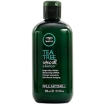 Shampoo Paul Mitchell Tea Tree