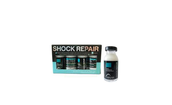 Shock Repair - Truss