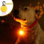 Sinalizador LED Amarelo, para Cães e Gatos