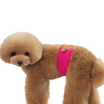 Sólidos Pants Cor Sanitária fisiológica para Pet cãe cor aleatória