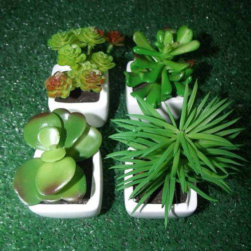 Suculenta Mini Planta Artificial com Vaso Branco Mudas Enfeite Festa Kit com 4 Unid
