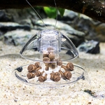 Tanque de peixes de aquário Clear Snail Trap Catcher Plants Planarian Pest Catch Box