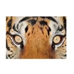 Tiger Eyes poli¨¦ster imperme¨¢vel material colorido Impress?o Toalha de Mesa 152 * 214
