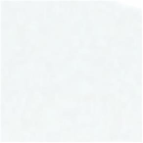 Tinta Acrilica Brilhante Nature Colors Acrilex Resistente ao Tempo 100ml 519 - Branco Acrilex